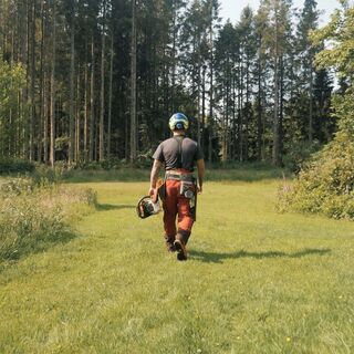 Forestry